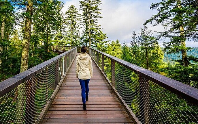 Auf dem nachhaltigen Weg zur Netto-Klimaneutralität